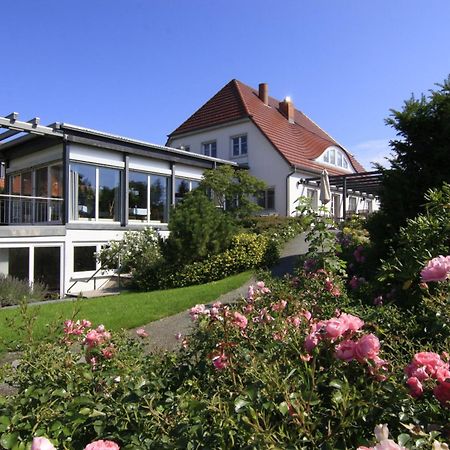 H.W.S. Hotel Der Wilde Schwan サガルト エクステリア 写真